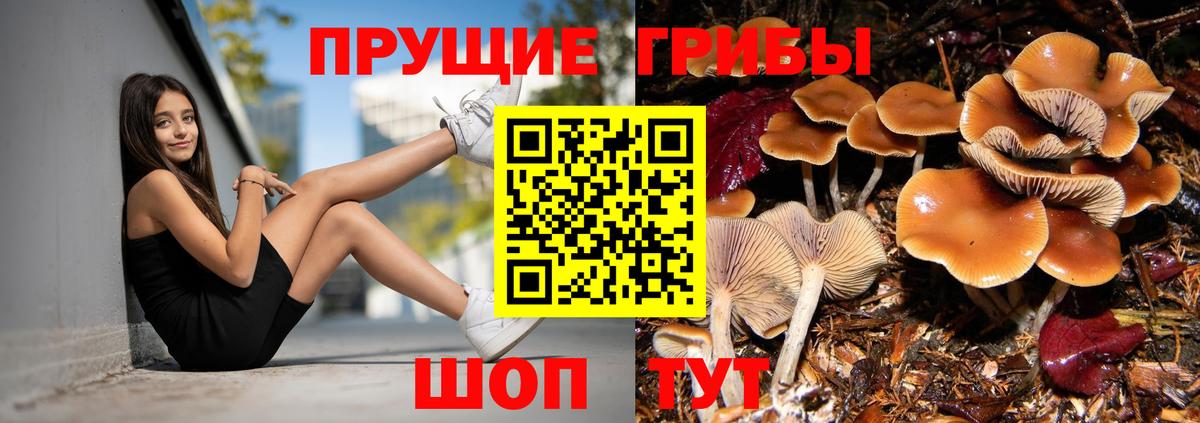 Маркс  Галлюциногенные грибы GOLDEN TEACHER  Вход с VPN 